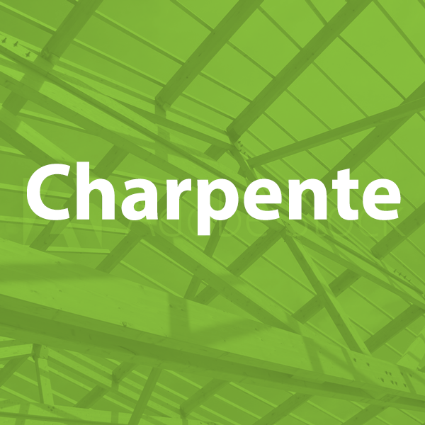 charpente-realisations-vert
